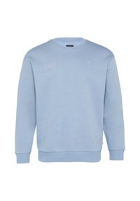 Lichtblauwe sweatshirt van zacht materiaal met lange mouwen, ronde hals, geribbelde manchetten en een klein logo op de borst.
