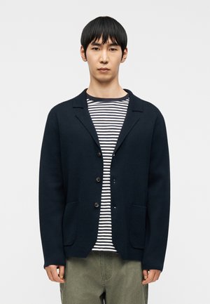 Young man wearing a navy buttoned cardigan over a navy and white striped shirt, standing against a plain white background.