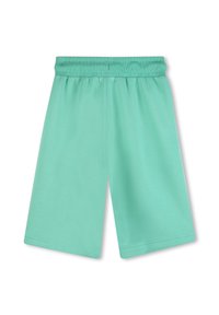 Σορτς σε μέντα πράσινο χρώμα κατασκευασμένα από ελαφρύ ύφασμα με ελαστική μέση, διαθέτουν ομαλή υφή και ευθύγραμμο σχέδιο.