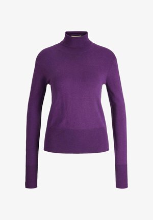 JXAVA LS SOFT ROLL NECK - Trui - acai