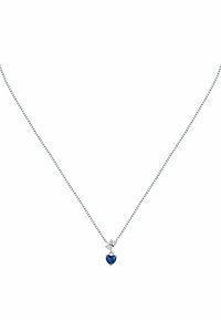 FAVS Collana - zilveren kleur