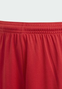 Shorts de sport rouges avec une taille élastique, fabriqués en tissu léger et présentant une texture lisse et des détails de couture minimalistes.