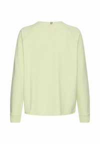 Lichtgroene longsleeve top met raglanmouwen, ronde hals en geribbelde manchetten. Glad materiaal met minimale details op de achterkant.