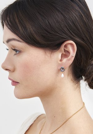 Jauna sieviete ar tumšiem matiem, kreisajā ausī valkā ziedu formas auskaru ar karājošu pērli un mazu kniedi, kā arī zelta kaklarotu.