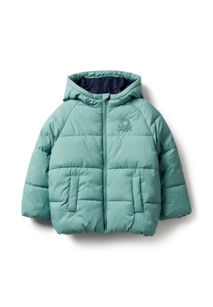 PADDED RAIN DEFENDER - Winterjacke - green