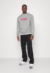 Levi's® RELAXED GRAPHIC CREW UNSIEX - Sportska majica - grey