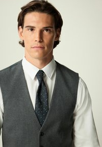 Un gilet gris sur une chemise blanche, agrémenté d'une cravate à motifs foncés. Le gilet présente une texture lisse et une coupe ajustée.