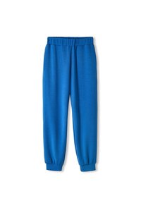Blue sweatpants with a soft texture, elastic waistband, and cuffs. Features a relaxed fit and smooth surface.