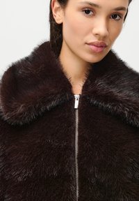 Καφέ γούνα μπουφάν με φαρδύ, πλούσιο γιακά και ασημένιο φερμουάρ. Η υφή είναι απαλή, με γυαλιστερό φινίρισμα και ποικιλία μήκους γούνας.