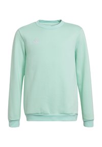 Mintgroene sweatshirt gemaakt van zachte stof, met lange mouwen, een ronde halslijn en een wit Adidas-logo op de linkerborst.