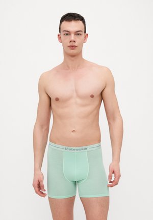 MEN ANATOMICA - Boxerkalsong - bright green