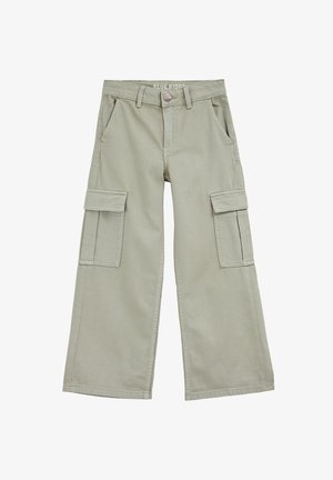 BLUE RIDGE - Cargo hlače - pastel green