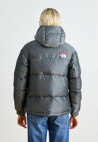 The North Face 30 ANNIVERSARY - Down jacket - moonstone grey