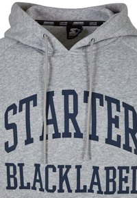 Starter LABEL RAGLAN  - Hoodie - heathergrey