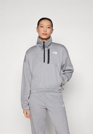 The North Face INTEREST 1/4 ZIP - Sweatshirt - pale grey heather/meld grey