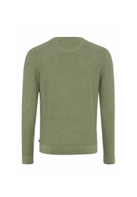 Grüner Pullover mit langen Ärmeln, runder Halslinie, gerippten Bündchen und einem strukturierten Strickmuster, von hinten gezeigt.