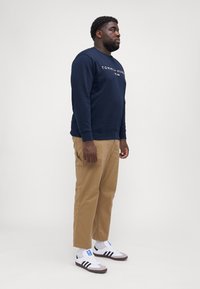 Tommy Hilfiger LOGO  - Sudadera - desert sky