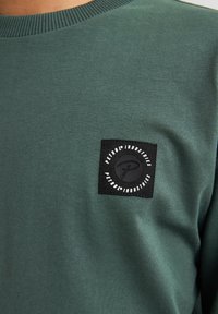 Felpa in cotone verde con scollo rotondo, caratterizzata da un'etichetta a forma di quadrato nera con la scritta "PETROL INDUSTRIES" nella zona sinistra del petto.
