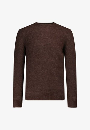 Pull en laine marron avec un col rond, des manches longues et des poignets côtelés. Texture douce, design simple, sans motifs ni accents visibles.