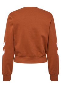 Brun kortärmad sweatshirt med långa ärmar, ribbade muddar och rund halsringning. Har vita chevronmönster på ärmarna.