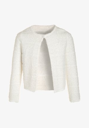 Cardigan bianco peloso con scollatura rotonda, apertura frontale e maniche lunghe. Caratterizzato da una texture morbida e un tenue motivo a reticolo.