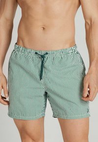 Grün-weiße gestreifte Badeshorts verfügen über einen elastischen Bund mit Kordelzug, seitlichen Taschen und einem leichten Stoff.