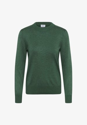 Pull vert avec un col rond, des manches longues et des bords-côtes aux poignets et à l'ourlet. Fabriqué en tissu tricoté doux avec une texture lisse.