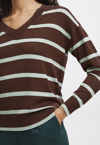Pull rayé marron et vert menthe avec un col en V, texture tricotée et poignets côtelés. Coupe décontractée, associé à un pantalon vert foncé.