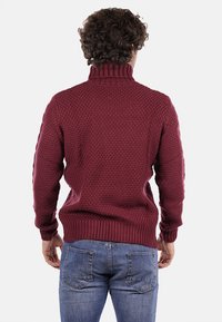 Maglione a maglia borgogna con colletto alto, caratterizzato da un motivo testurizzato e polsini a coste. Indossato con jeans blu, visto da dietro.
