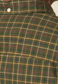 Groen geruit shirt met een ruitpatroon van gele, blauwe en bordeauxrode lijnen. Ontworpen met een klassieke kraag en een enkele knoopsluiting.