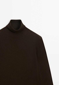 Dark brown turtleneck sweater made of soft fabric, featuring a high collar, long sleeves, and a smooth texture without visible patterns.