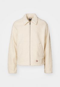 EISENHOWER - Giacca in pile - whitecap gray