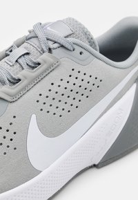 Nike Performance AIR ZOOM TR 1 - Scarpe da allenamento - light smoke grey/white