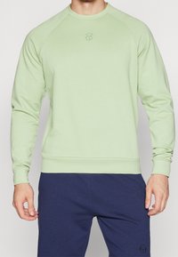 Felpa verde chiaro con collo a barca, maniche raglan e un piccolo logo sul petto. Tessuto misto cotone con una texture liscia.