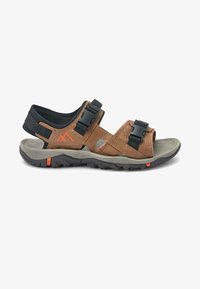 Neselectat, tan brown