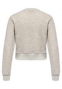 Sweat-shirt gris court avec une finition texturée, des poignets côtelés et un col arrondi. Dos uni sans ornements.
