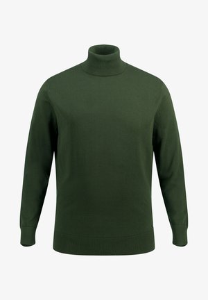 Grüner Rollkragenpullover aus glattem Strickstoff. Mit langen Ärmeln, gerippten Bündchen und Saum, ohne Muster oder sichtbare Hardware.