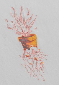 Illustratie van een kamerplant met langwerpige bladeren in tinten van groen en rood, die uit een gemarmerde oranje pot groeit, tegen een lichte achtergrond.