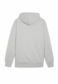 Puma TEAM - Felpa con cappuccio - light gray heather