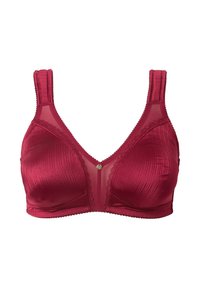 Roter Satin-BH mit transparenten Netzpaneelen, dreieckiger Form, dekorativen Spitzenabschlüssen und einem kleinen zentralen Akzent. Verstellbare Träger sind enthalten.