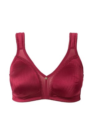 Red satin bra with sheer mesh panels, a triangular shape, decorative lace trim, and a small center accent. Adjustable straps included.
