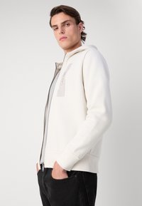 Calvin Klein HORIZONTAL LOGO ZIP THRU HOODIE - Mikina so zipsom - silver birch