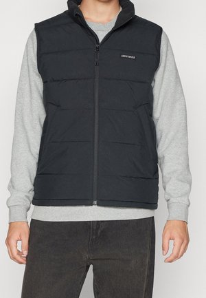 Mand iført sort quiltet vest uden ærmer over lysegrå langærmet skjorte og mørke bukser, stående foran en ensfarvet baggrund.