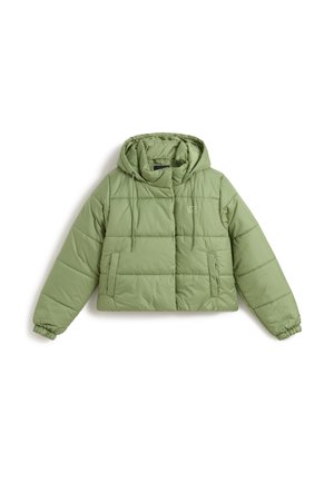 HILLGATE CROPPED PUFFER - Vinterjakker - neutral olive