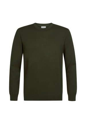 PROFUOMO, PROFUOMO PULLOVER CREW-NECK - Trui - dark green
