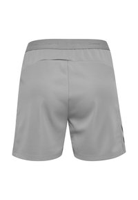 Grå sportiga shorts med en slät yta, elastisk midja och svarta accentremsor på sidorna. Enkel och funktionell design.