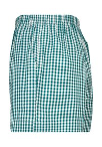 America Today LOGAN - Pyjamahousut/-shortsit - green