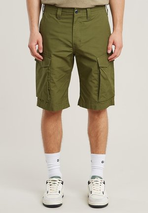 CORE - Shorts - mayfly