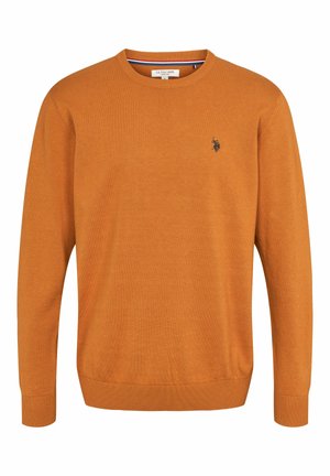 U.S. Polo Assn. ADAIR - Neule - pumpkin spice