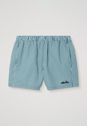 Blå og hvite badeshorts med vertikale striper, elastisk midje og liten svart merkevarelogo nederst på høyre ben.